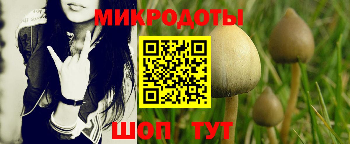 Псилоцибиновые грибы Psilocybine cubensis  Вход с VPN  Красный Сулин 