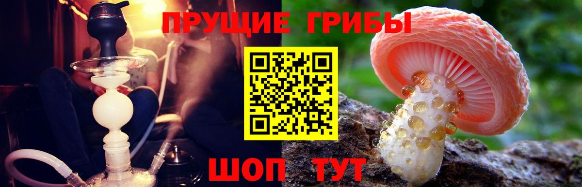 Псилоцибиновые грибы прущие грибы Красный Сулин